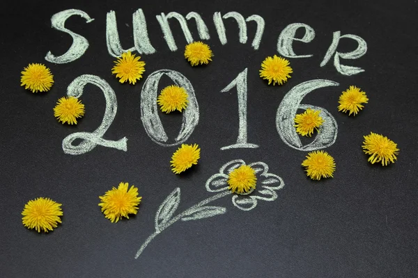 Sarı dandelions 2016 yazında