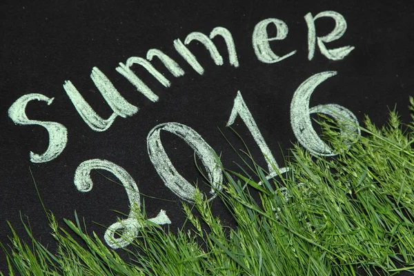 2016 yaz yeşil çimen