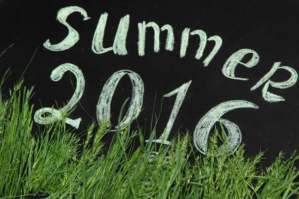 Verano 2016 en la hierba verde —  Fotos de Stock