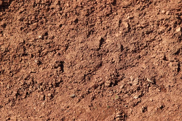 Texture of the clay background — Stock Photo, Image