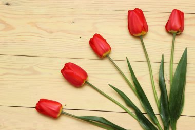 ahşap arka plan üzerinde kırmızı lale