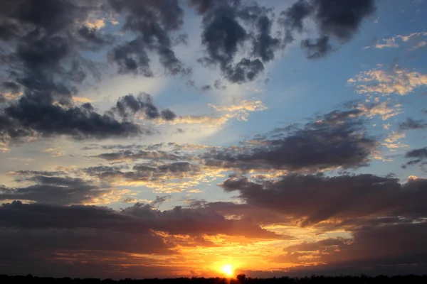 野原の美しい夕日 ストックフォト
