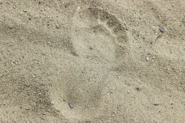 Empreinte sur la plage de sable — Photo