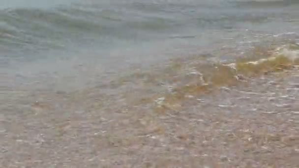 Surfe no Mar Negro — Vídeo de Stock
