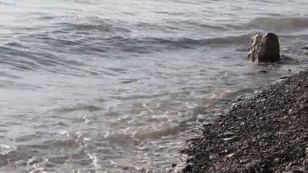 Surf a Fekete-tenger — Stock videók