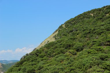 Karadeniz sahilleri. Kel dağ.