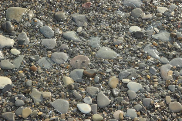 Rocce lisce sul mare sulla riva — Foto Stock