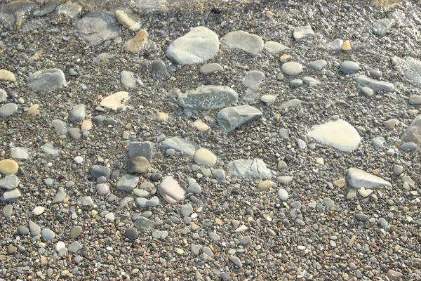 Mar rocas lisas en la orilla — Foto de Stock