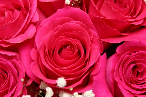 Un bouquet de roses rouges — Photo