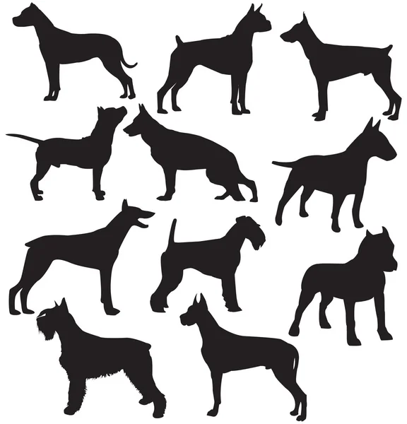 Set van sillhouttes van staande werkende honden — Stockvector