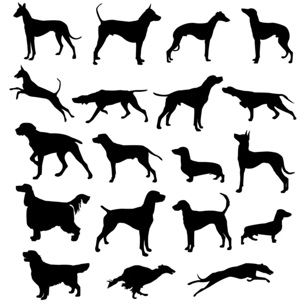Set of silhouettes of hunting dogs — Stock Vector