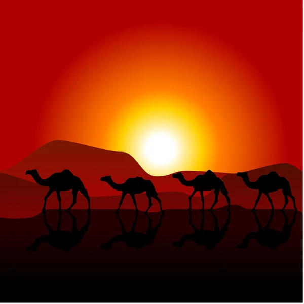 Silhouettes of caravan of camels on desert sunset — Stock Vector