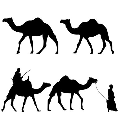 Silhouettes of camels with camel drovers clipart