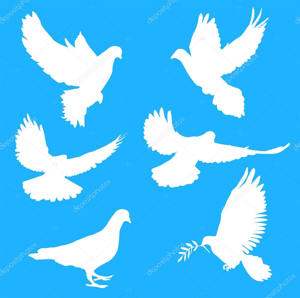 White silhouettes of doves