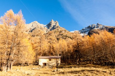 Renkli bir manzara altında İtalyan Alpleri'nde küçük dağ evi 