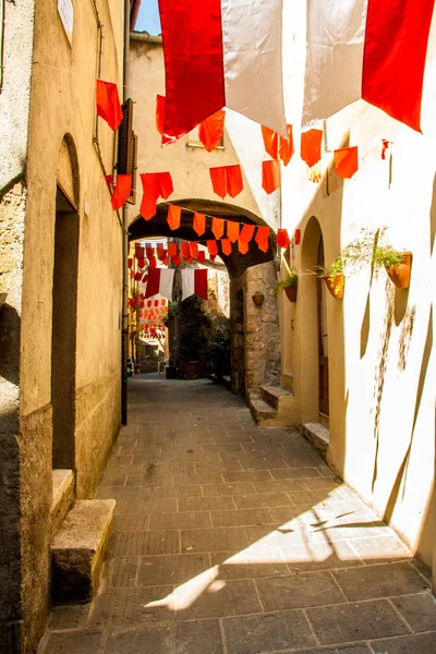 Bandeiras coloridas do partido acenam em um beco pequeno durante um fes da vila — Fotografia de Stock