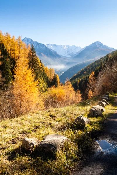 Stenen Lined up in een kleurrijke herfst panorama In de Italiaanse — Stockfoto