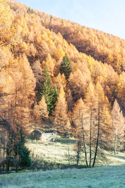 Förstörda chalet i de italienska Alperna med en färgstark panorama — Stockfoto
