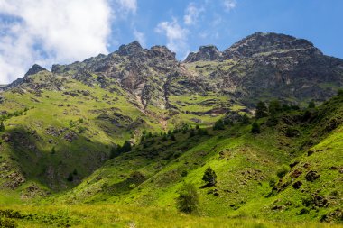 Mountaint üst ve meadwos - (Ponte di legno, Case di Viso - Ital