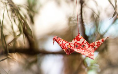 Origami Vinçler