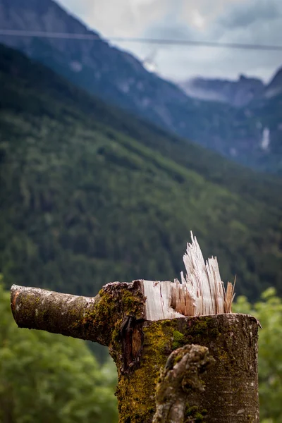 Log en panorama — Stockfoto