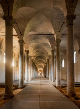 Ancient Stables, designed by Leonardo da Vinci, in Vigevano, Ita