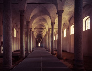 Eski ahır, Leonardo da Vinci, Vigevano, Ita tasarım