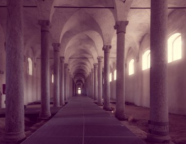 Ancient Stables, designed by Leonardo da Vinci, in Vigevano, Ita clipart