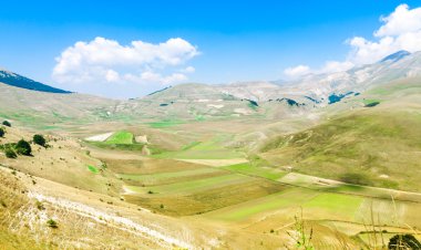 Monti Sibillini tarafından Castelluccio di yuvarlak alanları ekili