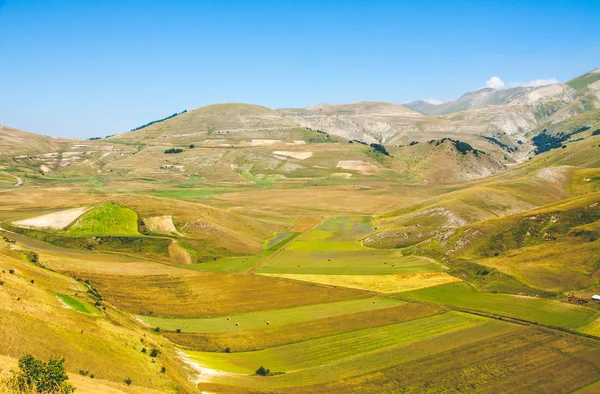 Färgade fält och berg i Castelluccio di Norcia i en summa — Stockfoto