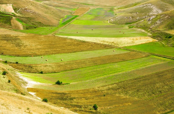 Pian di Castelluccio di Norcia, meraviglioso altopiano immerso nel verde — Foto Stock