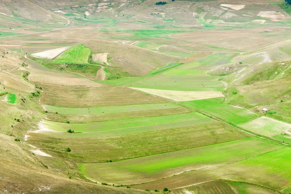 Pian di Castelluccio di Norcia, vidunderlige plateau i det naturlige - Stock-foto