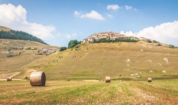 Hay bollar på fältet i Castelluccio di Norcia, Italien — Stockfoto