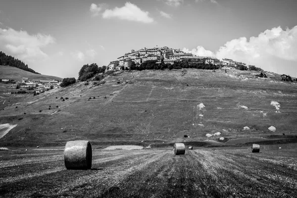 Hay bollar på fältet i Castelluccio di Norcia, Italien — Stockfoto