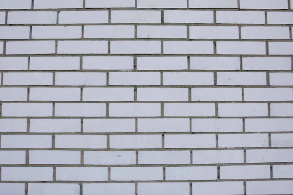 White brick wall on a sunny day.