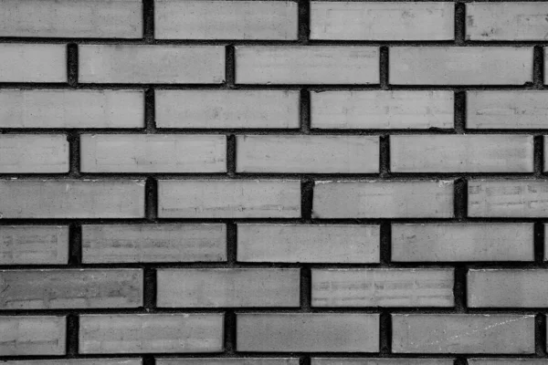 Weiße Backsteinmauer Einem Sonnigen Tag — Stockfoto