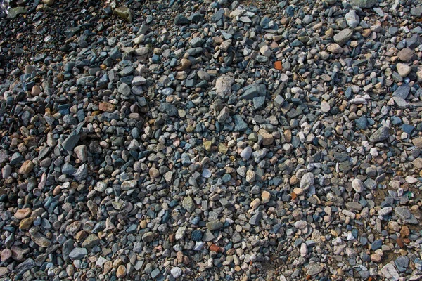 Kleine Kieselsteine Textur Hintergrund Bunte Steine Hintergrund Der Kleinen Bunten — Stockfoto