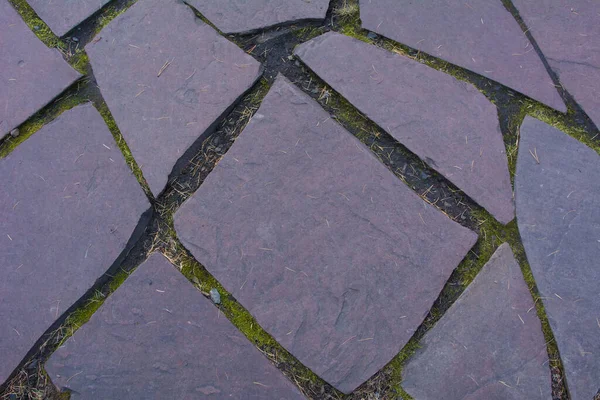 Trädgårdsstig Stora Stenar Natursten Stig Skogsparken — Stockfoto