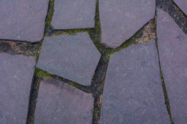 Büyük taşlardan yapılmış bahçe yolu. Orman parkındaki doğal taş patika..