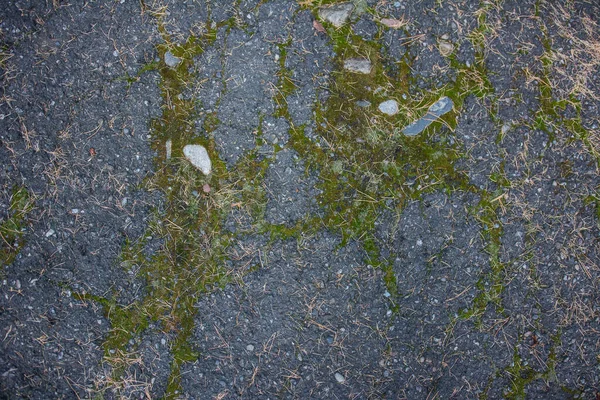 旧裂缝沥青和苔藓的文摘背景 字母书写或设计的空间 — 图库照片