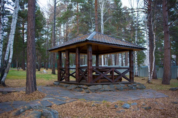 Ett Brunt Trälusthus För Avkoppling Skogen Stockbild