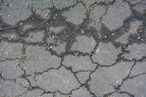 Makro Zbliżenie Betonowe Pęknięcia Asfaltu Drodze — Zdjęcie stockowe