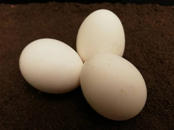 Tres Huevos Blancos Sobre Fondo Oscuro — Foto de Stock