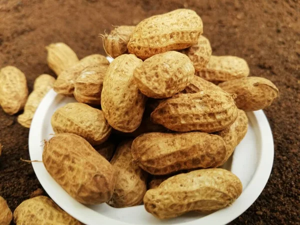 Frutos Cacahuete Con Concha Plato Blanco Sobre Fondo Oscuro — Foto de Stock