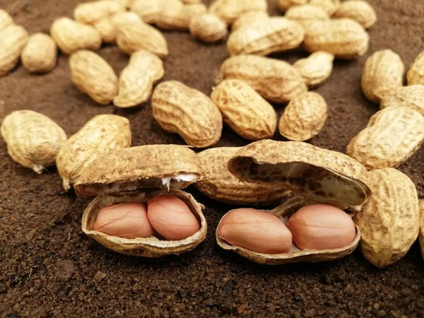 Composição Amendoins Servindo Para Fazer Óleo Manteiga Amendoim Pindar — Fotografia de Stock