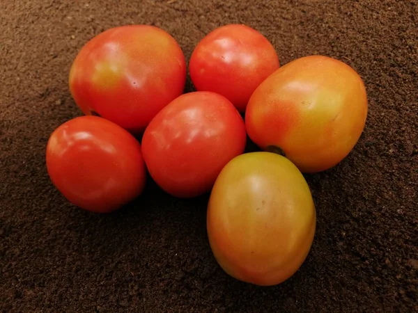 Frische Tomaten Auf Dunklem Hintergrund — Stockfoto