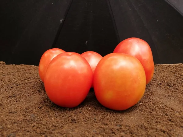 Fresh Tomatoes Dark Background — Stock Photo, Image