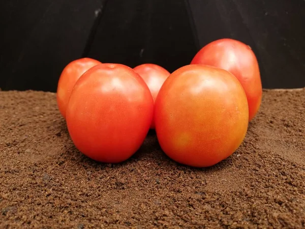 Fresh Tomatoes Dark Background — Stock Photo, Image