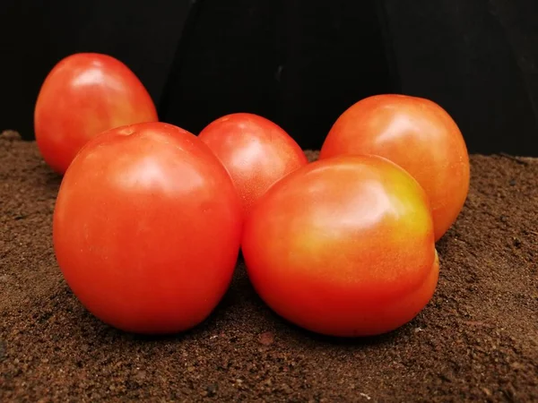 Frische Tomaten Auf Dunklem Hintergrund — Stockfoto