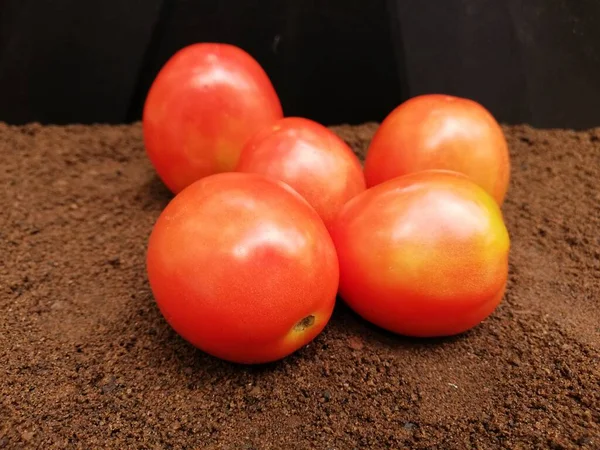 Świeże Pomidory Ciemnym Tle — Zdjęcie stockowe
